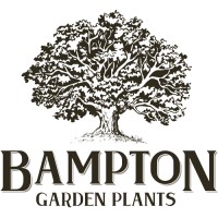 Bampton Garden Plants logo - Similar company to Hambrooks