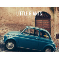 LITTLE GIANTS COLLABORATIVE logo - Similar company to Lamb Consulting - Small Biz Marketing, Websites & Design