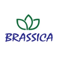 Brassica Hospitality Services Pvt. Ltd. logo - Similar company to Reniti