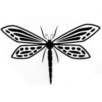 Dragonfly Central, Inc. logo - Similar company to Fello