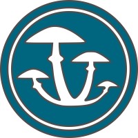 Bareminds logo - Similar company to Catsports