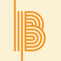 Birney Consulting, LLC logo - Similar company to Av Msp