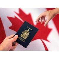 Bijou Canadian Overseas Immigration Services Inc. logo - Similar company to Alberta Immigration Services