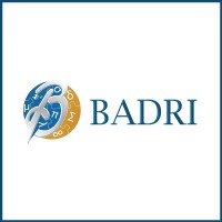BADRI Management Consultancy logo - Similar company to Actuarix