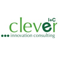 Clever Innovation Consulting logo - Similar company to Bullsoft