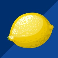 Lemonade Standers logo - Similar company to Audivi Ai