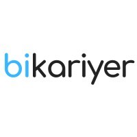 bikariyer logo - Similar company to Maxfate Consulting