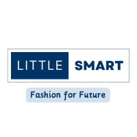 Little Smart logo - Similar company to Lezgo Education