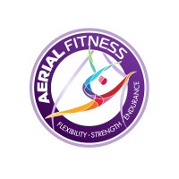 Aerial Fitness logo - Similar company to C5 Create With No Limits
