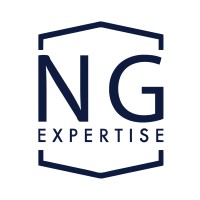 NG Expertise Sarl logo - Similar company to Inbit.Ma