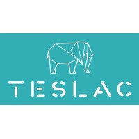 Teslac IT Solutions logo - Similar company to Sathvik Software Solutions