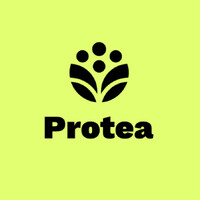 Protea Sustainability Consulting logo - Similar company to Sustainability Partnerships