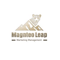 Magneto Leap logo - Similar company to Amberhive Digital Studio
