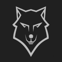 Dyrwolf Inc logo - Similar company to Scout Secured