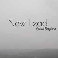 New Lead logo - Similar company to Emc Services