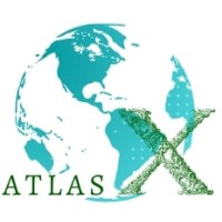 Atlas X Pte Ltd logo - Similar company to Fineturtle