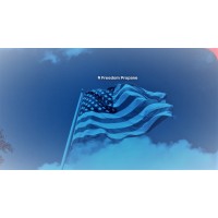 Freedom Fuels & Commodities logo - Similar company to Transatlantic Commodities Group