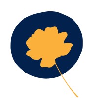 CANOA logo - Similar company to Canoa Moz