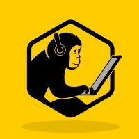 The Digital Chimp logo - Similar company to Sprout Pixel