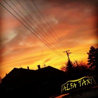 Alfa Taxi logo - Similar company to Tuna Creations