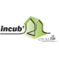 Incub' - Oxalis