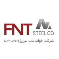 Fulad Nab Tabriz ( FNT ) logo - Similar company to Rgss Llc