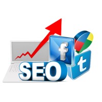 Digital Marketing Institute in Delhi logo - Similar company to Delhi Courses Academy - Digital Marketing Institute In Delhi