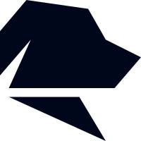 Finosu logo - Similar company to The Platinum Triangle