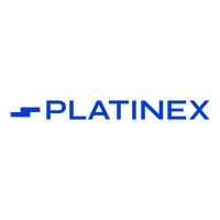 Platinex Industries Pvt Ltd logo - Similar company to Quiddity Technology Solutions Inc