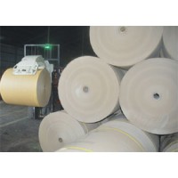 DR Paper Industries Ltd. (A Unit of DR Group) logo - Similar company to Bashundhara Paper Mills