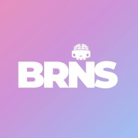 Brains Studio logo - Similar company to Equalpixels Technologies
