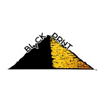 BlvckPrint Corp logo - Similar company to Norisk Digitals