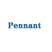 Pennant Consulting Services Pvt. Ltd. logo - Similar company to Ecs (East Consultancy Services)