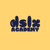 dslx Academy logo - Similar company to The Science Haven
