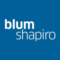 blumshapiro logo - Similar company to Math For Humans | Ai Strategy For Educators