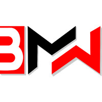 Build My Webz logo - Similar company to Rids Tech
