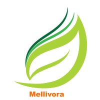Mellivora Finance Llc