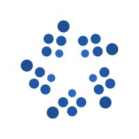 WELLSTAR Technologies logo - Similar company to Bluebird It Solutions - A Wellstar Company