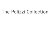 The Polizzi Collection logo - Similar company to Arc