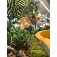 PIKA Artificial Plant Project Concept Landscape Application logo - Similar company to Gülcembahçe