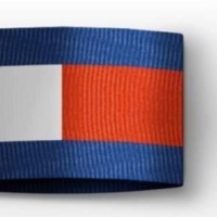 TOMMY HILFIGER CENTER NORTE logo - Similar company to Wild Closet