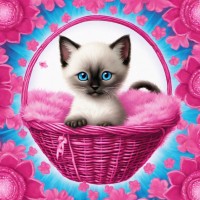 Cats Luv Us logo - Similar company to Bullet Proof Diesel