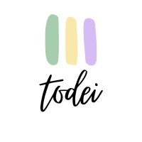 todei consulting logo - Similar company to Crew Webstudio