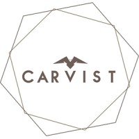 Carvist logo - Similar company to Brainleapp