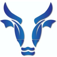 Bullsoft technology logo - Similar company to Bullsoft