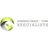 Borehole Image and Core Specialists Ltd logo - Similar company to Task Fronterra Geoscience