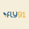 Fly91.in logo - Similar company to Aero Aerospace And Aviation