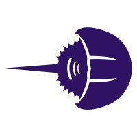 Cambria Software logo - Similar company to Lightweight Solutions