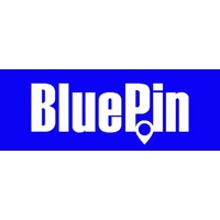 BluePin logo - Similar company to Evoseek Global