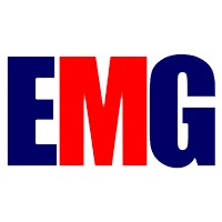 Electro Motor Group logo - Similar company to Mpdv Software & Technology  Services (Shanghai) Co., Ltd.